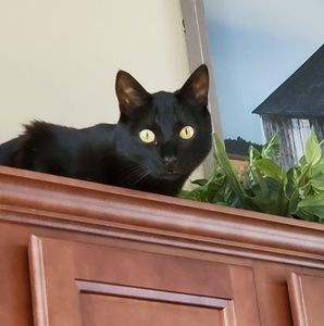 Meet your Posher, Donna